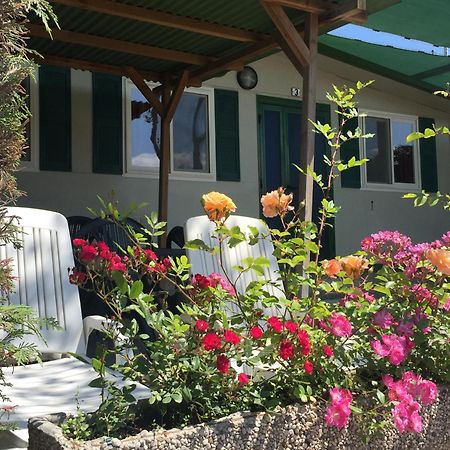 Villaggio Camping Europa 索托马里纳 外观 照片